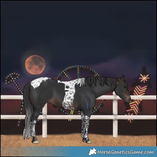 Horse Color:Brown Tobiano 