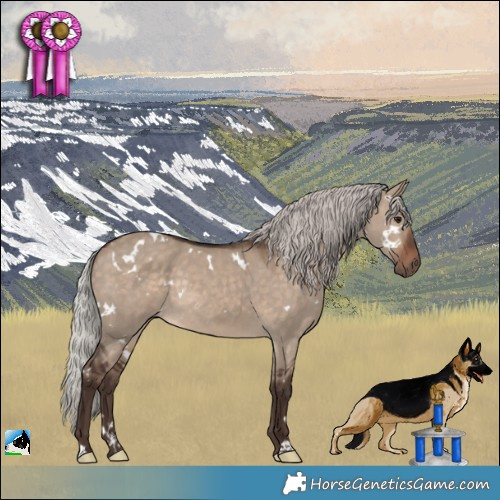 Horse Color:White Spotted Silver Bay Dun Rabicano