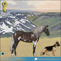 Horse Color:White Spotted Silver Brown Rabicano 