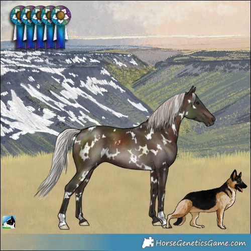 Horse Color:White Spotted Silver Brown 