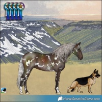 Horse Color:White Spotted Silver Brown 