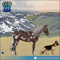 Horse Color:White Spotted Silver Brown 