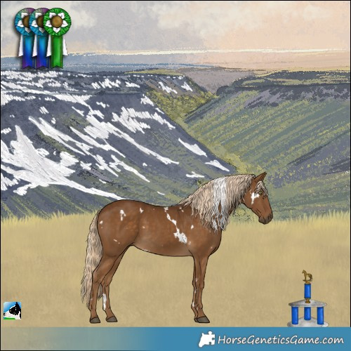 Horse Color:White Spotted Chocolate Palomino 