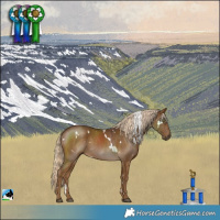 Horse Color:White Spotted Chocolate Palomino