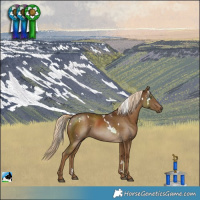 Horse Color:White Spotted Chocolate Palomino 