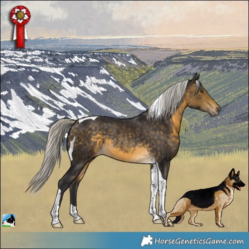 Horse Color:Silver Buckskin Tobiano Rabicano