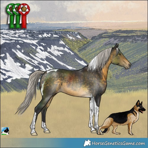 Horse Color:Silver Buckskin Tobiano Rabicano 
