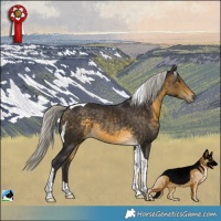 Horse Color:Silver Buckskin Tobiano Rabicano
