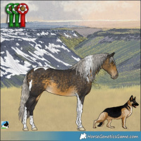 Horse Color:Silver Buckskin Tobiano Rabicano