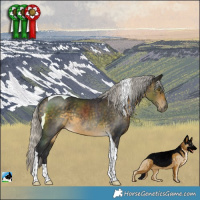 Horse Color:Silver Buckskin Tobiano Rabicano