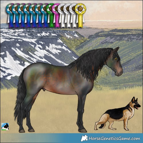 Horse Color:Brown Rabicano 