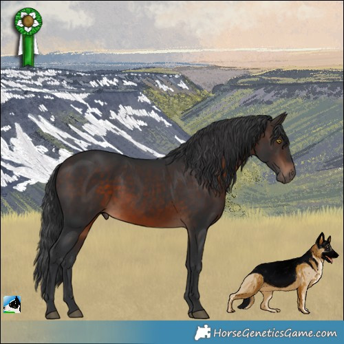 Horse Color:Brown Rabicano 