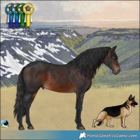 Horse Color:Brown Rabicano 