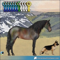 Horse Color:Brown Rabicano 