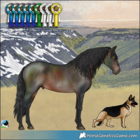 Horse Color:Brown Rabicano 