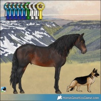 Horse Color:Brown Rabicano 