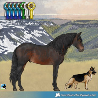 Horse Color:Brown Rabicano