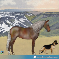 Horse Color:Silver Bay Rabicano 