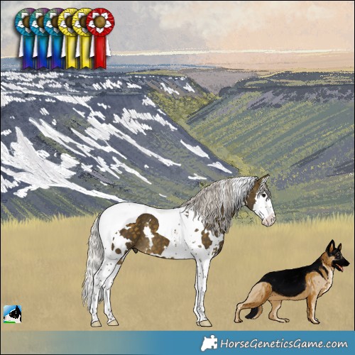 Horse Color:White Spotted Silver Buckskin Splash Tobiano