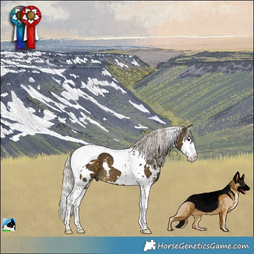 Horse Color:White Spotted Silver Buckskin Splash Tobiano