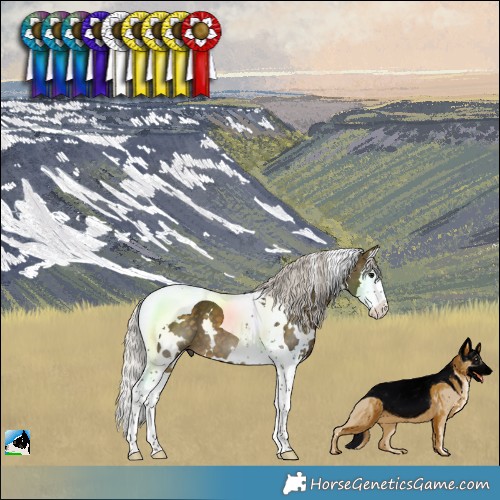 Horse Color:White Spotted Silver Buckskin Splash Tobiano 