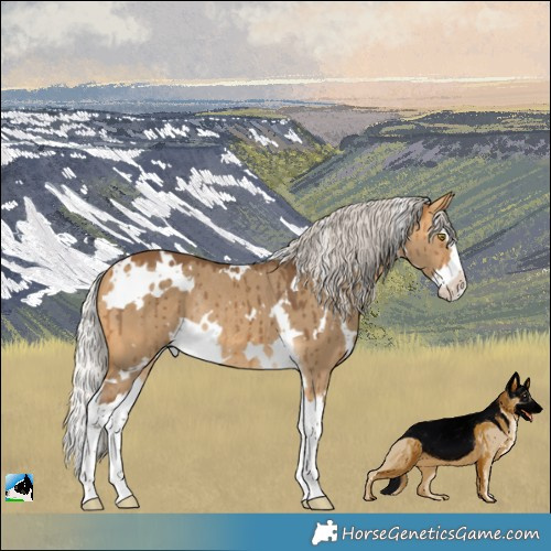 Horse Color:White Spotted Silver Buckskin Dun Splash Rabicano Brindle 