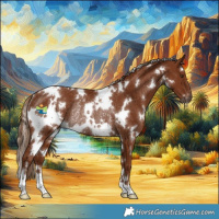 Horse Color:Gray White Spotted Chestnut Varnish Rabicano 