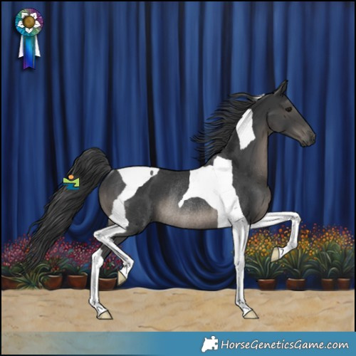 Horse Color:Black Tobiano Rabicano