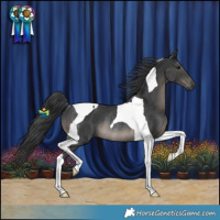Horse Color:Black Tobiano Rabicano 