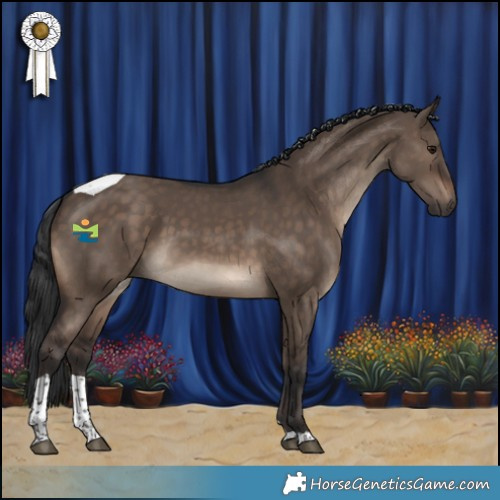 Horse Color:Brown Dun Tobiano