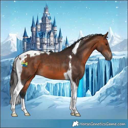 Horse Color:Bay Tobiano 