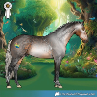 Horse Color:Gray Silver Buckskin Tobiano