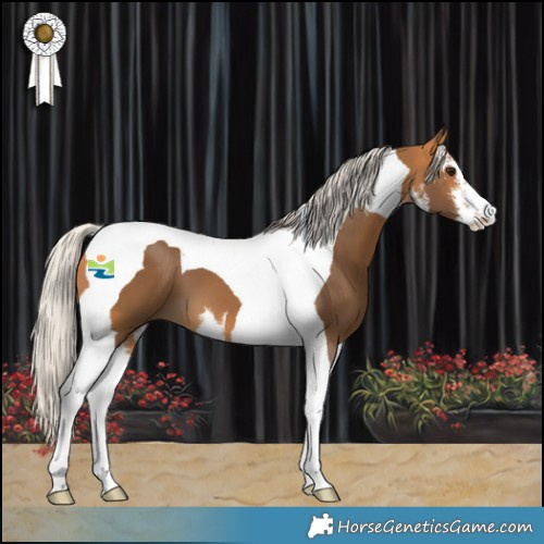 Horse Color:White Spotted Silver Buckskin Tobiano 