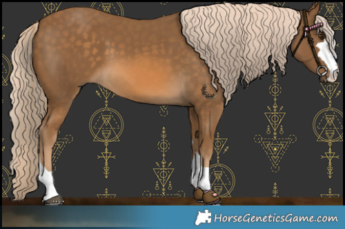 Horse Color:Chocolate Palomino