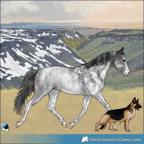 Horse Color:Powder White White Spotted Black 