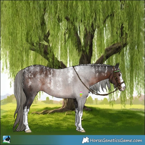 Horse Color:Powder White White Spotted Liver Chestnut Mushroom Rabicano