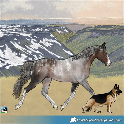 Horse Color:Powder White White Spotted Liver Chestnut Mushroom Rabicano 
