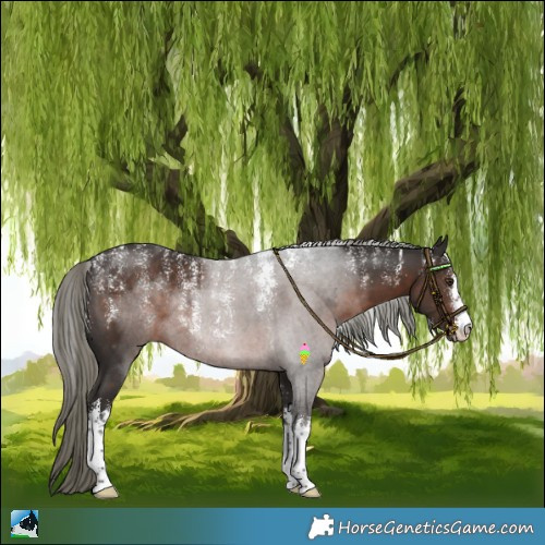 Horse Color:Powder White White Spotted Liver Chestnut Mushroom Rabicano 