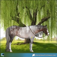 Horse Color:Powder White White Spotted Liver Chestnut Mushroom Rabicano 