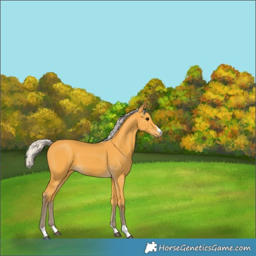 Horse Color:Silver Buckskin