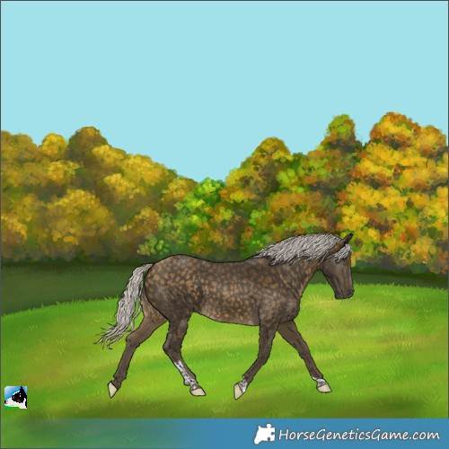 Horse Color:Silver Buckskin Tobiano 