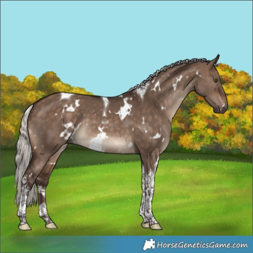Horse Color:White Spotted Silver Brown Dun Tobiano Rabicano 