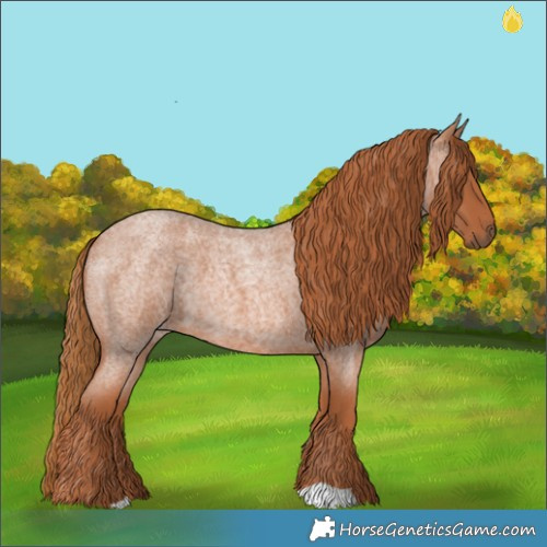 Horse Color:Red Roan
