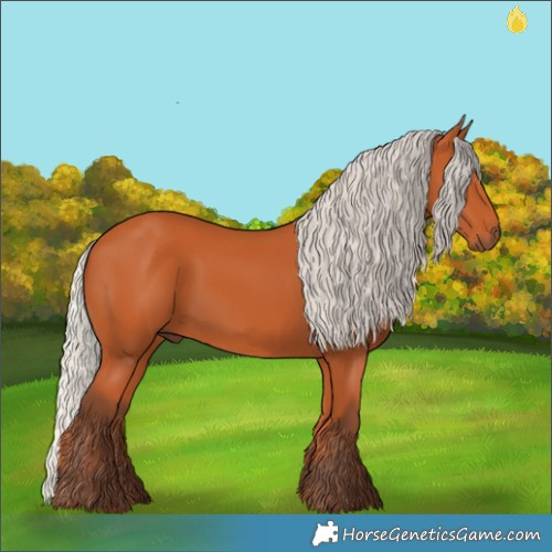 Horse Color:Silver Bay 
