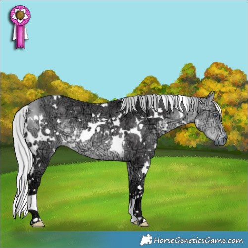 Horse Color:White Spotted Silver Buckskin Chinchilla Ice 