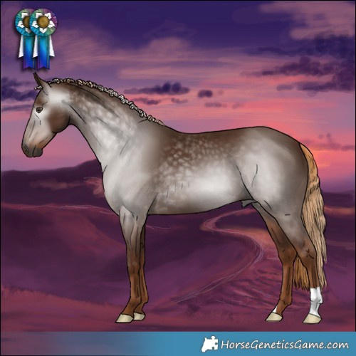 Horse Color:Gray Chestnut 