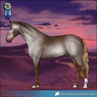 Horse Color:Gray Chestnut
