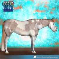Horse Color:White Spotted Palomino Roan Splash Varnish  and White Spotted Red Roan Splash 