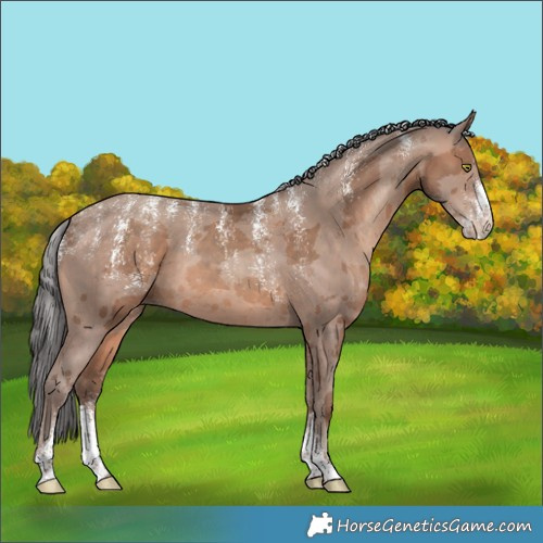 Horse Color:Powder White Sable Champagne Merle