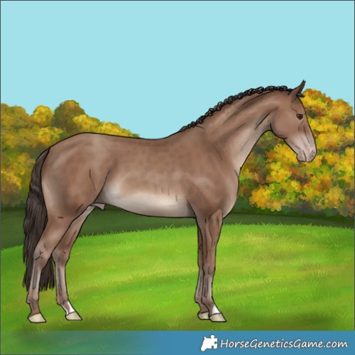 Horse Color:Classic Champagne 
